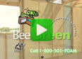BeeGreen30.jpg